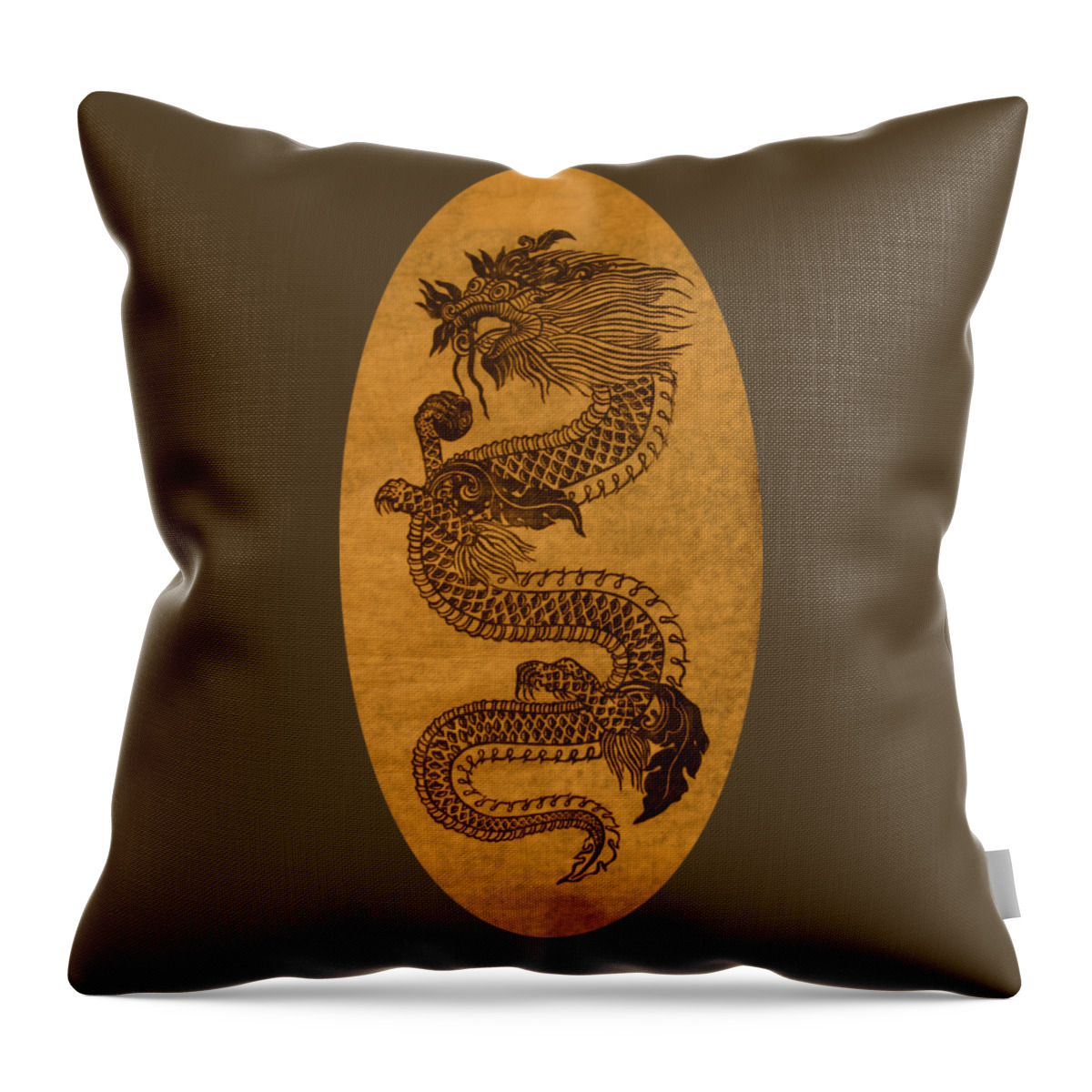 Dragon Throw Pillow featuring the photograph Dragon by Robert E Alter Reflections of Infinity