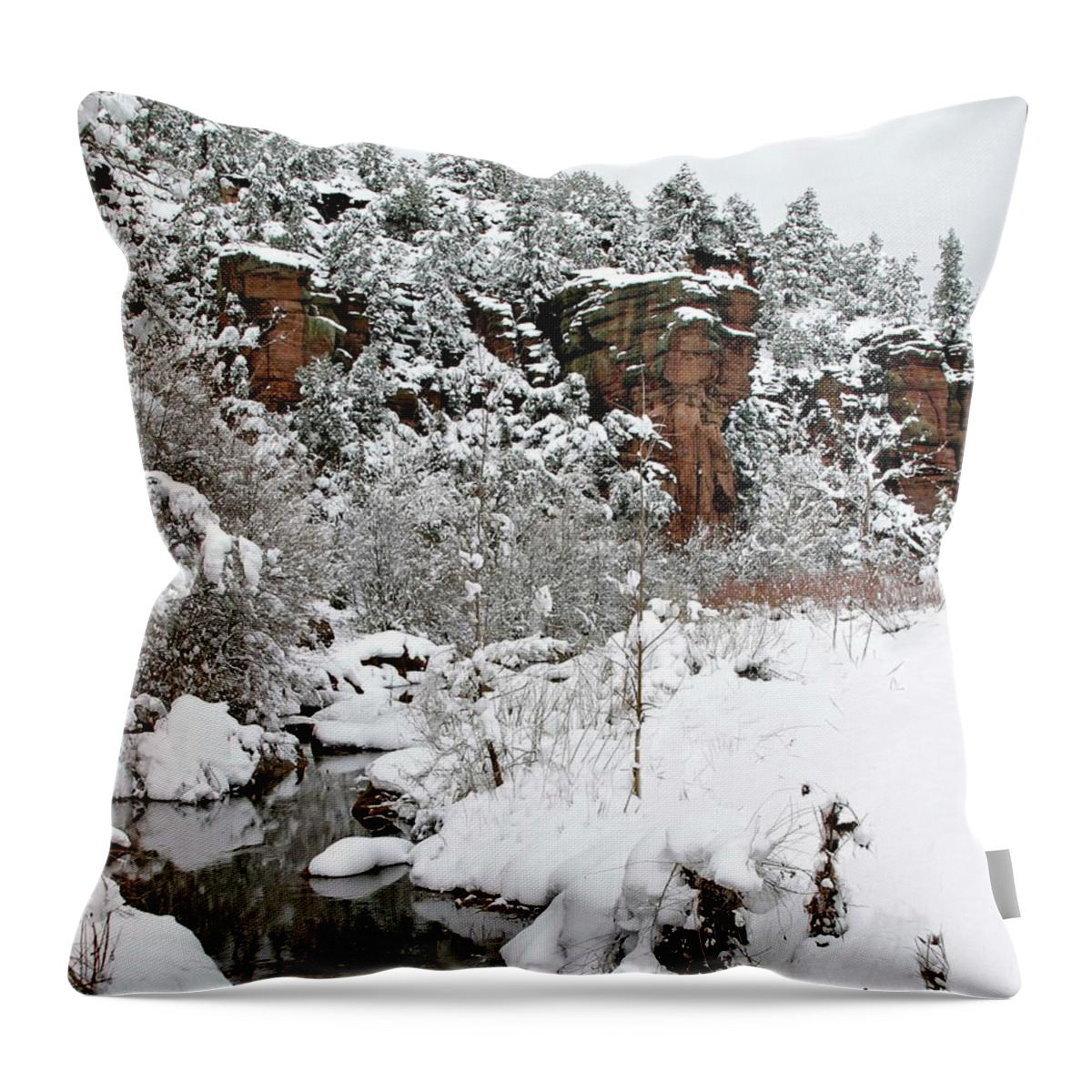 Snow Throw Pillow featuring the photograph East Verde Winter Crossing by Matalyn Gardner