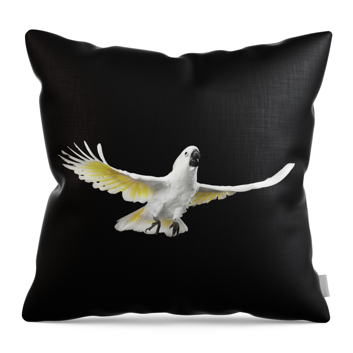 Cockatoo Throw Pillow featuring the photograph Flying Crested Cockatoo alba, Umbrella, Indonesia, isolated on Black Background by Sergey Taran
