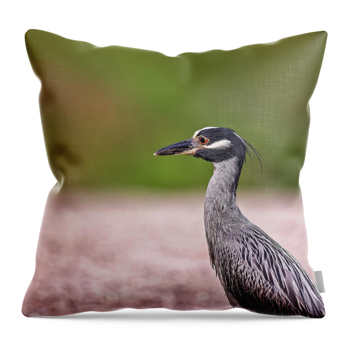 Animal Throw Pillow featuring the photograph Green Heron by Peter Lakomy