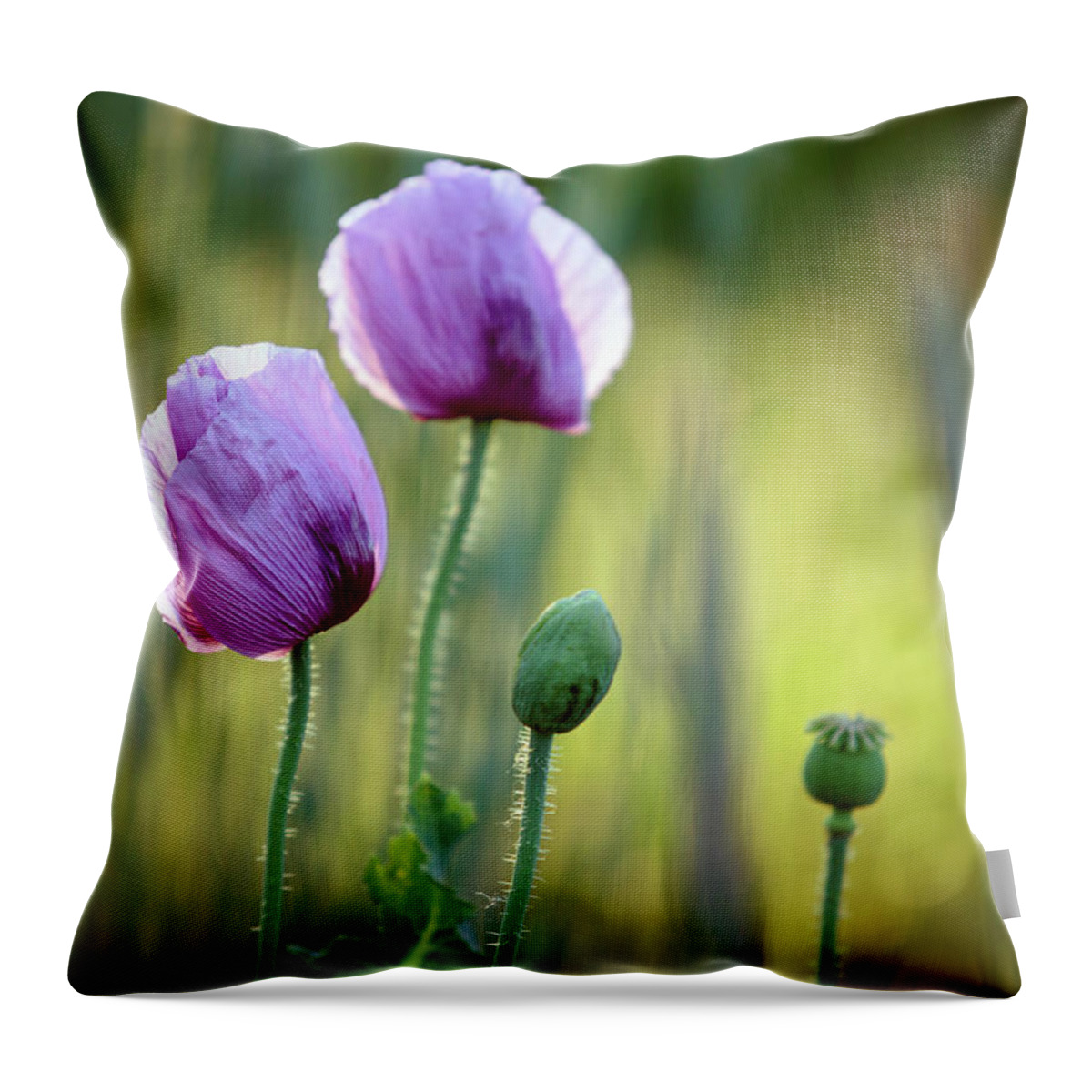 Palatinate Throw Pillow featuring the photograph Lilac Poppy Flowers by Nailia Schwarz