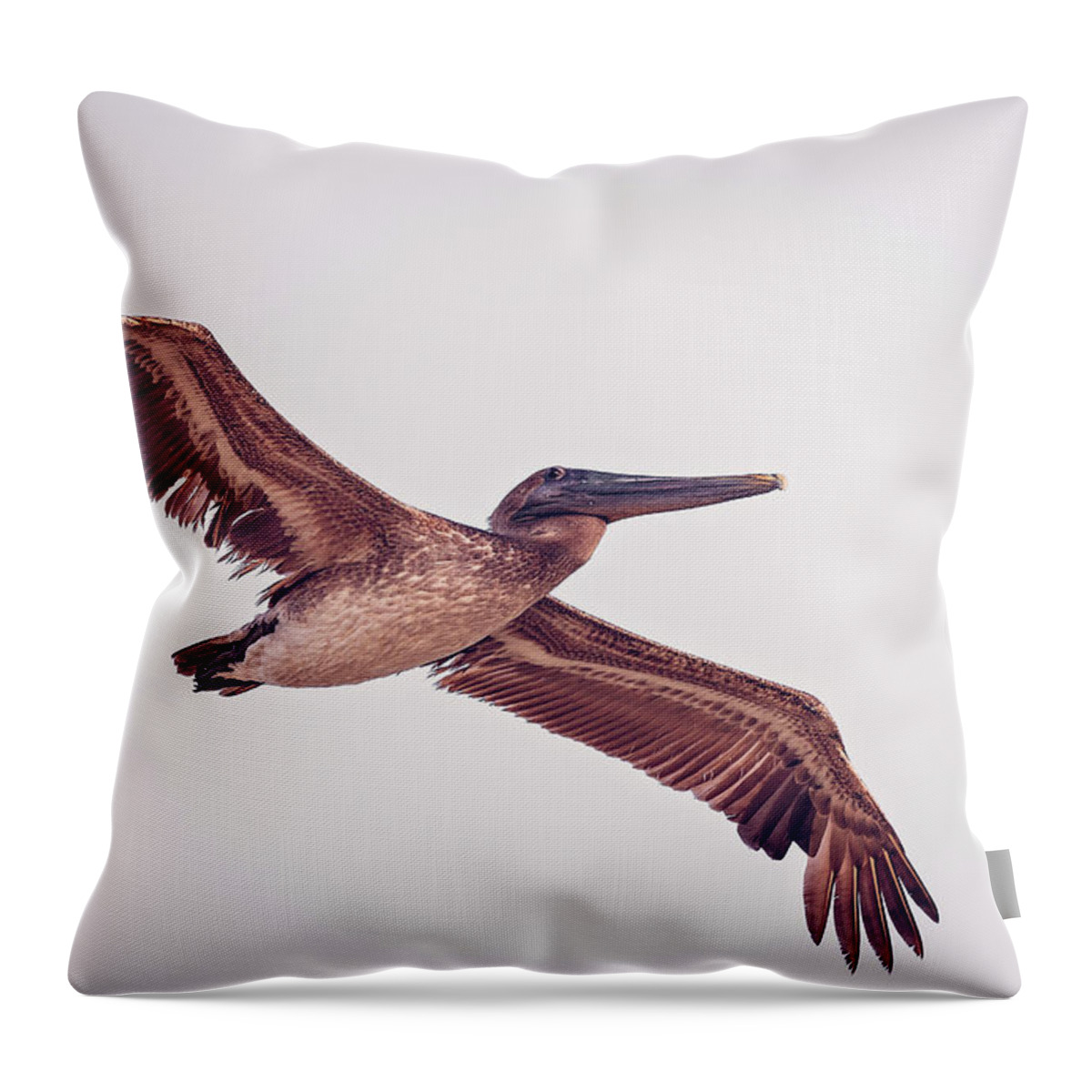 Aqua Throw Pillow featuring the photograph Pelican by Peter Lakomy