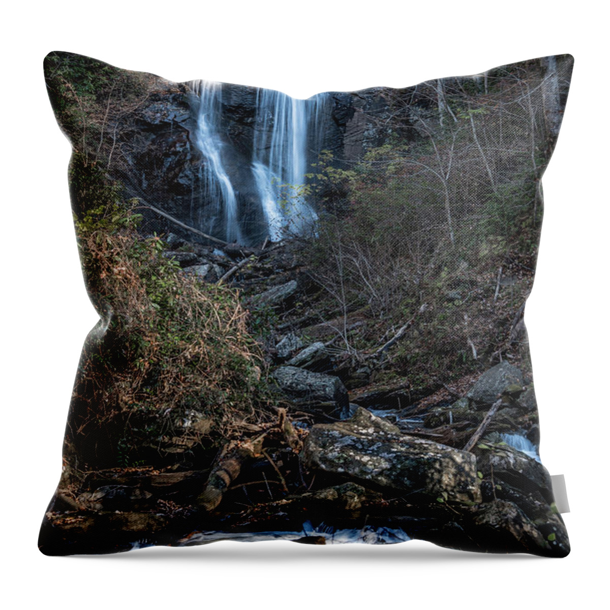 Water Falls Throw Pillow featuring the photograph Anna Ruby Falls by Jaime Mercado