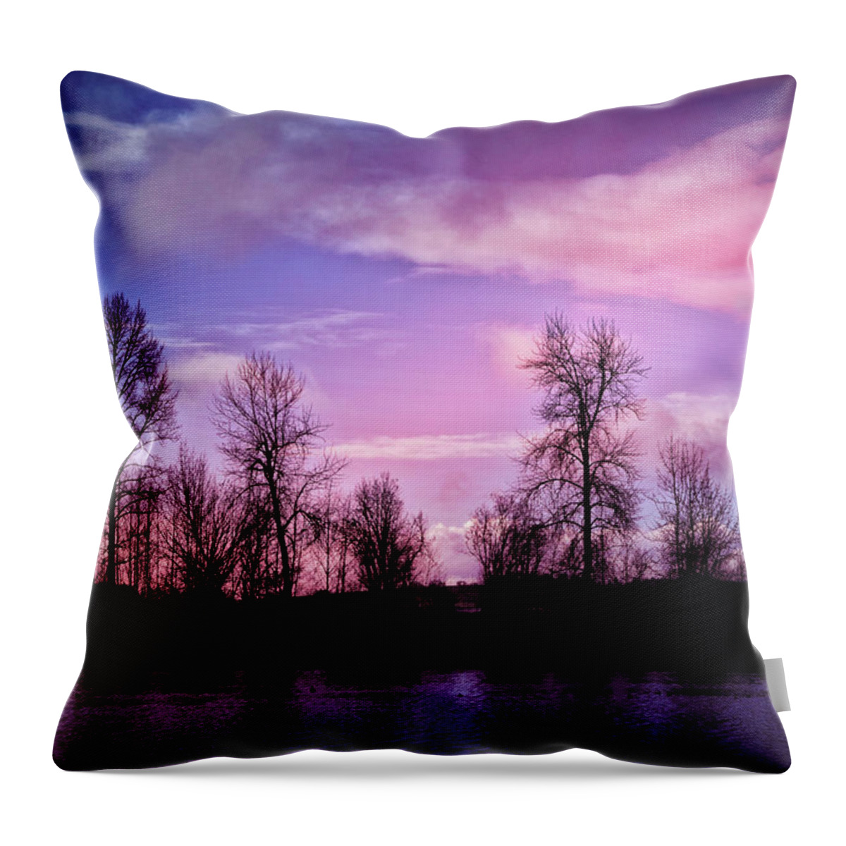 Pink Throw Pillow featuring the photograph Pink Dawn by Bonnie Bruno