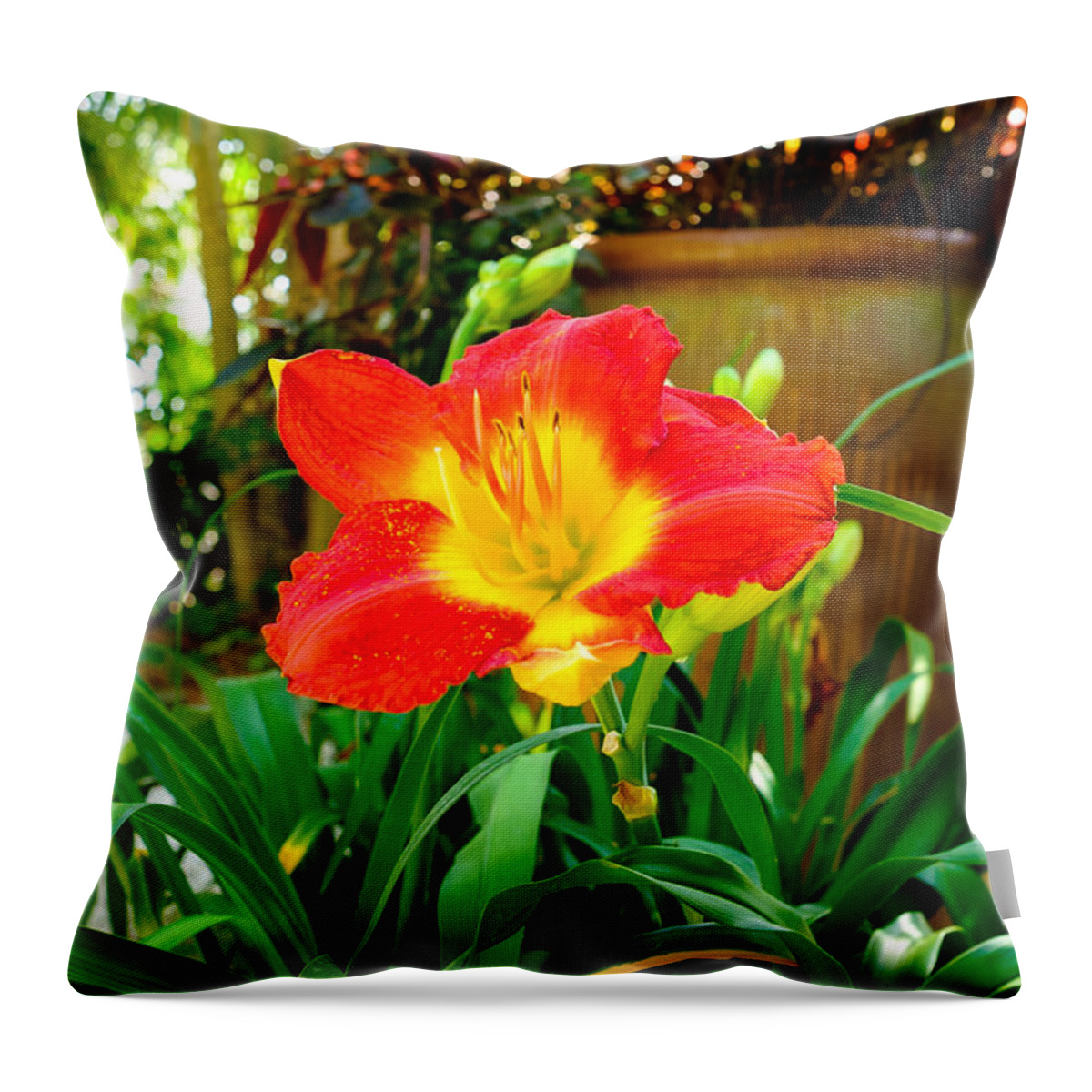 Beautiful Throw Pillow featuring the photograph Pretty flower by Raul Rodriguez