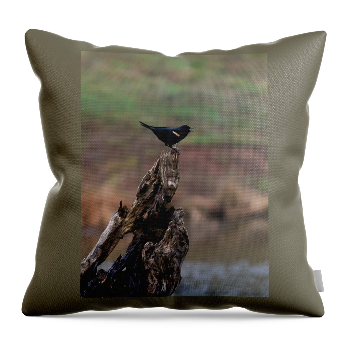 Jan Throw Pillow featuring the photograph Red-Winged Blackbird by Holden The Moment