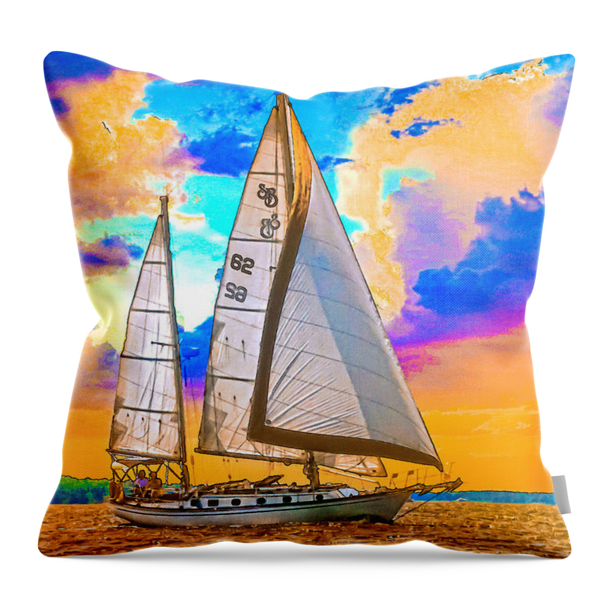 Sunset Throw Pillow featuring the photograph Shannon 38 by Richard Goldman