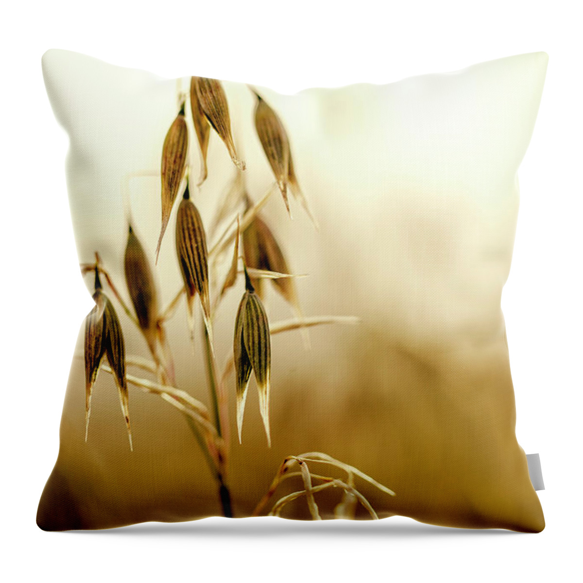 Oat Throw Pillow featuring the photograph Summer Oat by Nailia Schwarz