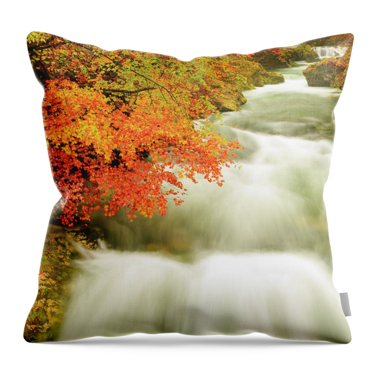 Soteska Throw Pillow featuring the photograph The Soteska Vintgar gorge in Autumn by Ian Middleton