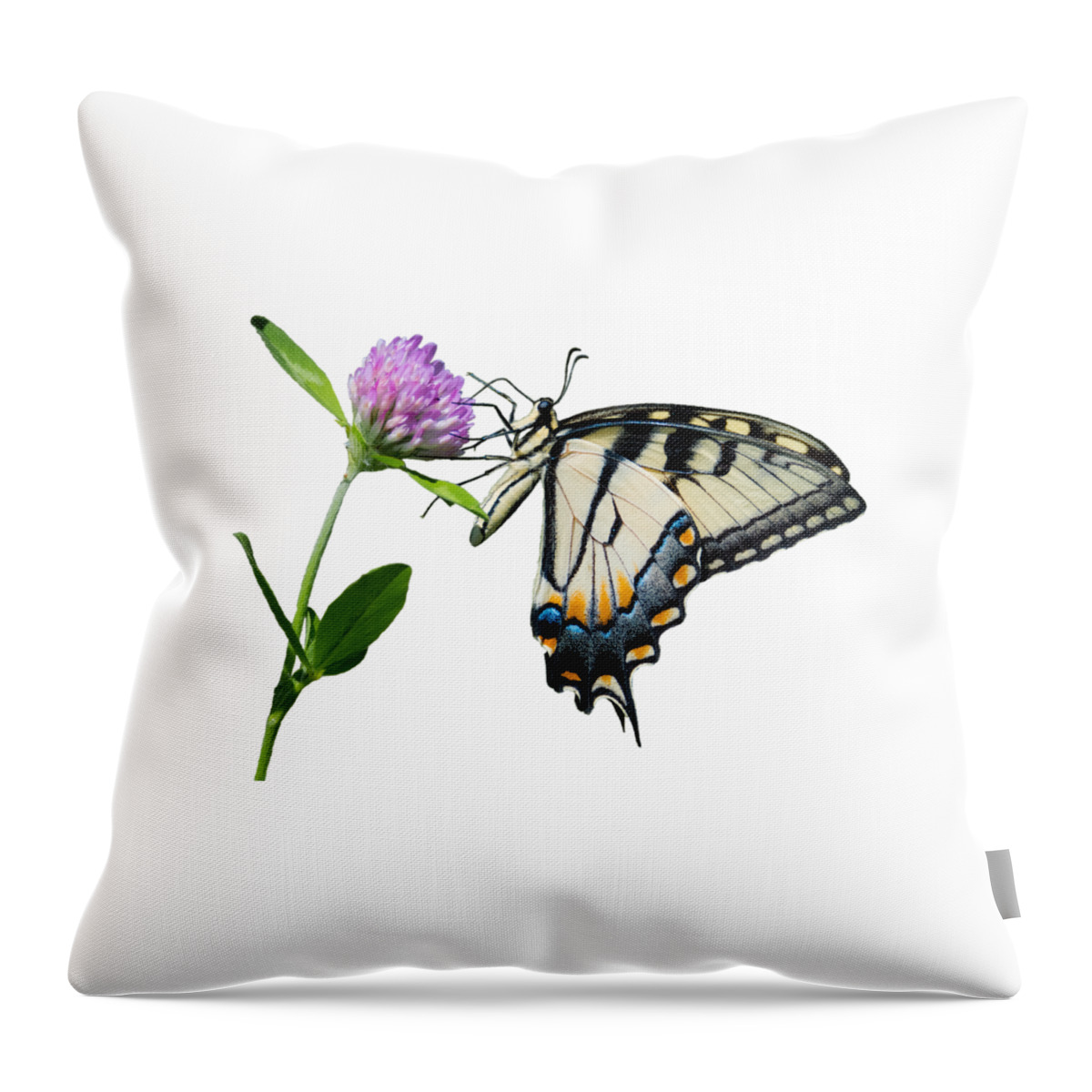 Tiger Swallowtail Butterfly Throw Pillow featuring the photograph Tiger Swallowtail Butterfly by Holden The Moment