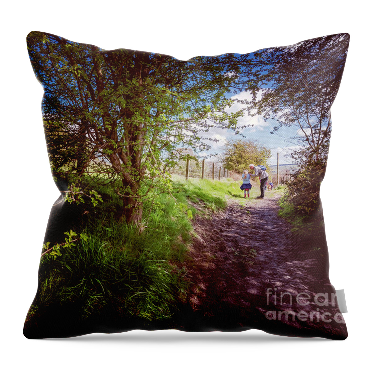 D90 Throw Pillow featuring the photograph Walking in Riddlesden by Mariusz Talarek