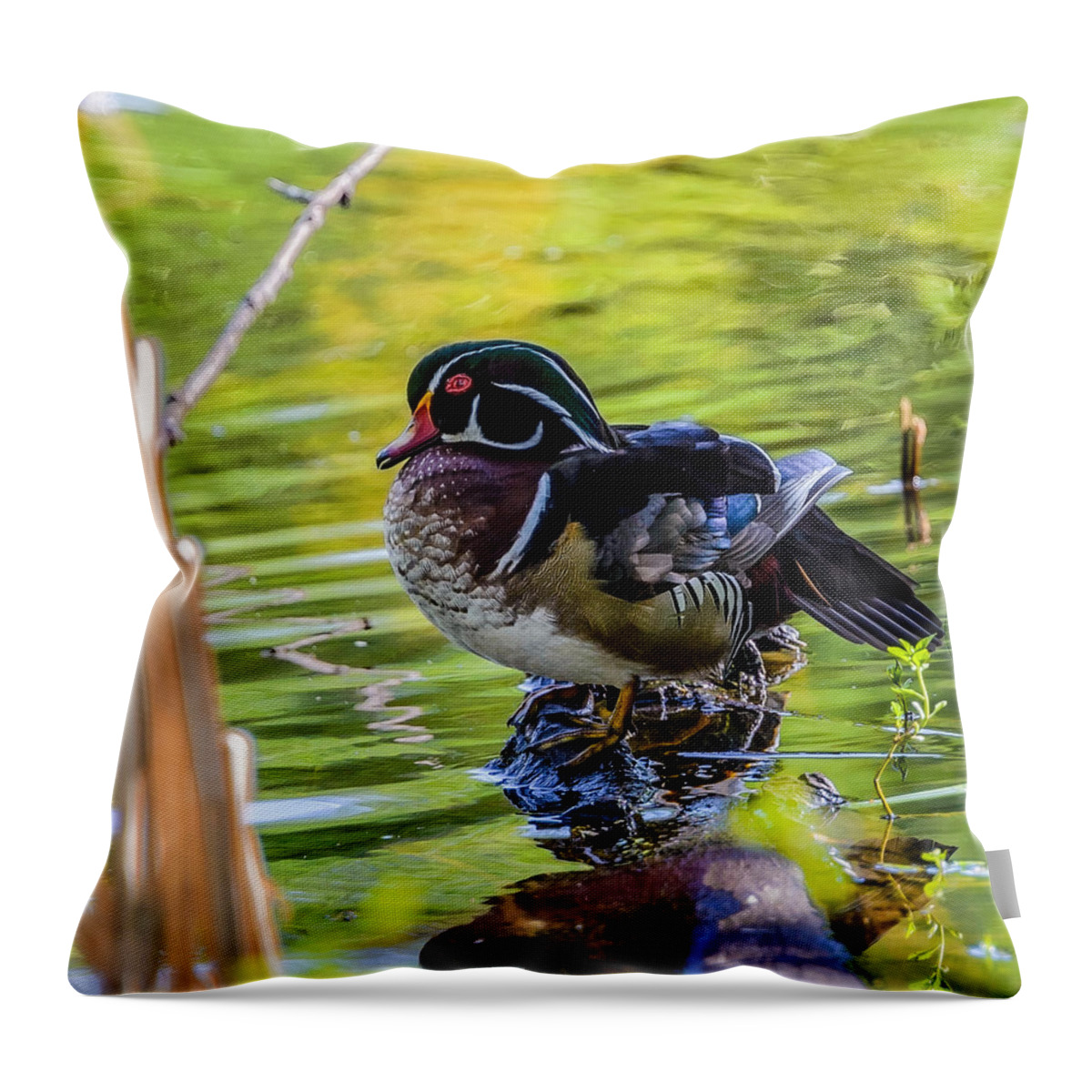 Wood Duck Throw Pillow featuring the photograph Wood Duck by Jerry Cahill