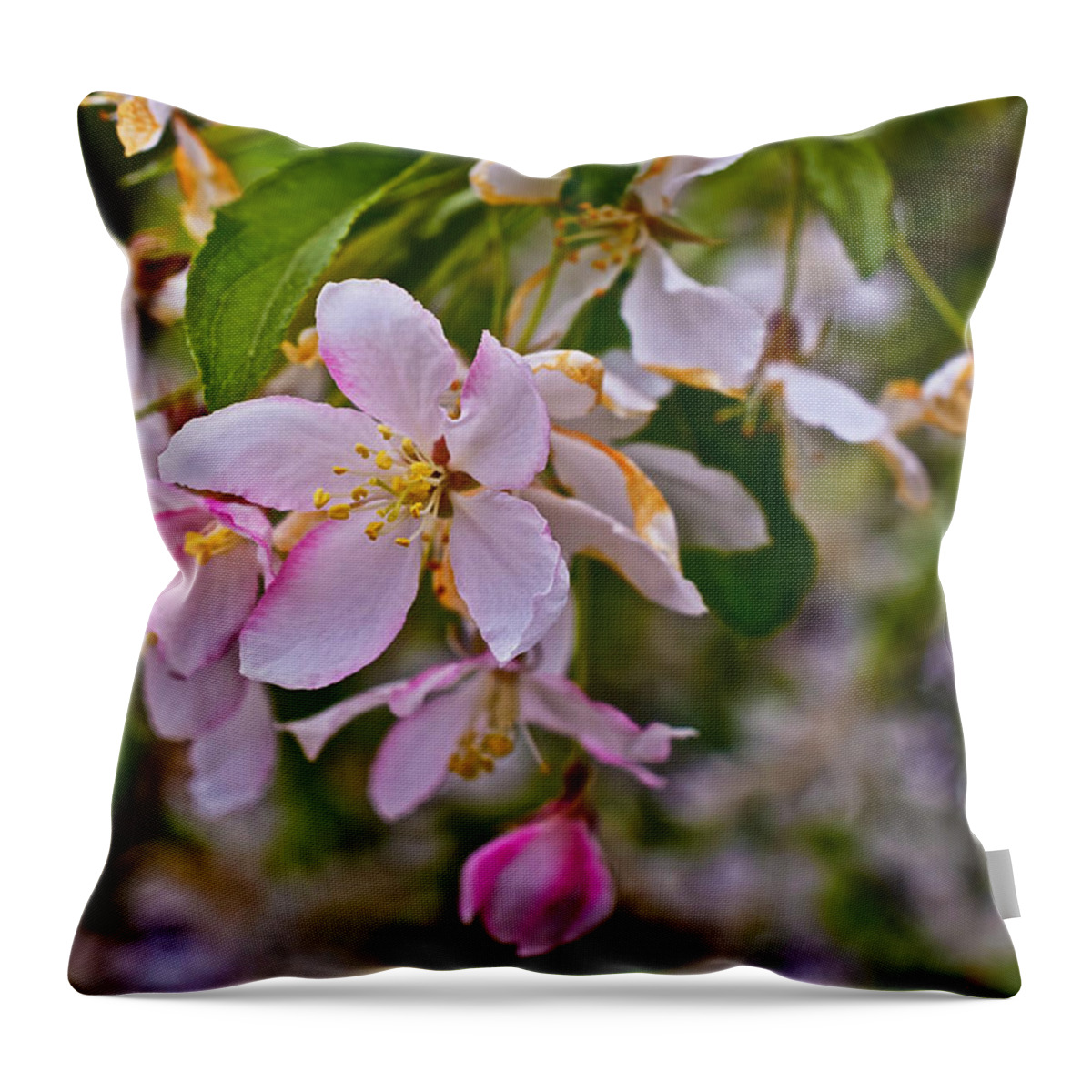 Crabapple Blossoms Throw Pillow featuring the photograph 2015 Spring at the Gardens White Crabapple Blossoms 1 by Janis Senungetuk
