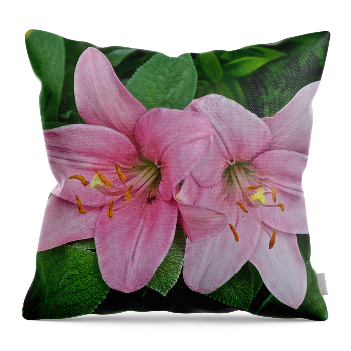 Asiatic Lilies Throw Pillow featuring the photograph 2015 Summer at the Garden Pink Lilies 1 by Janis Senungetuk