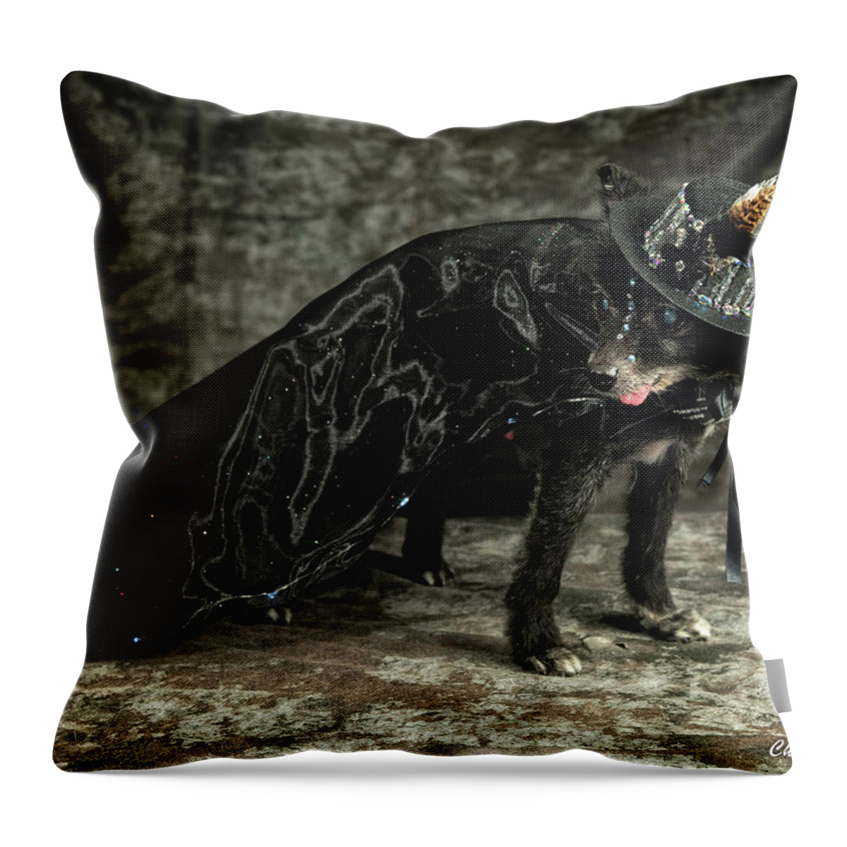 Leonard Throw Pillow featuring the photograph 20170804_ceh1124 by Christopher Holmes
