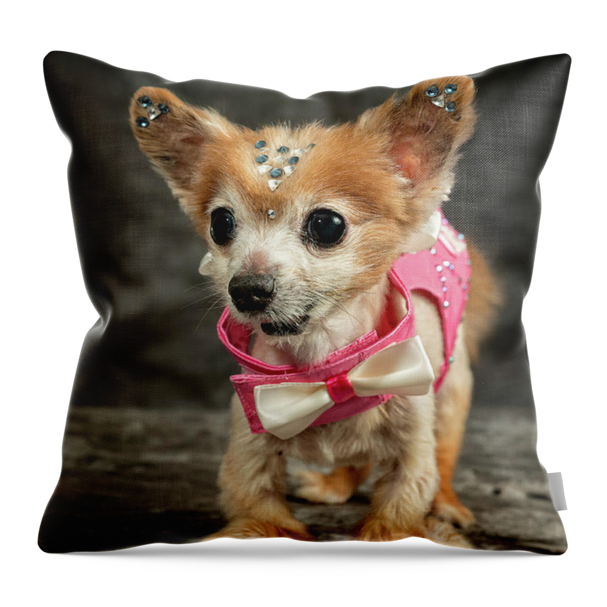 Gizmo Throw Pillow featuring the photograph 20170804_ceh1147 by Christopher Holmes
