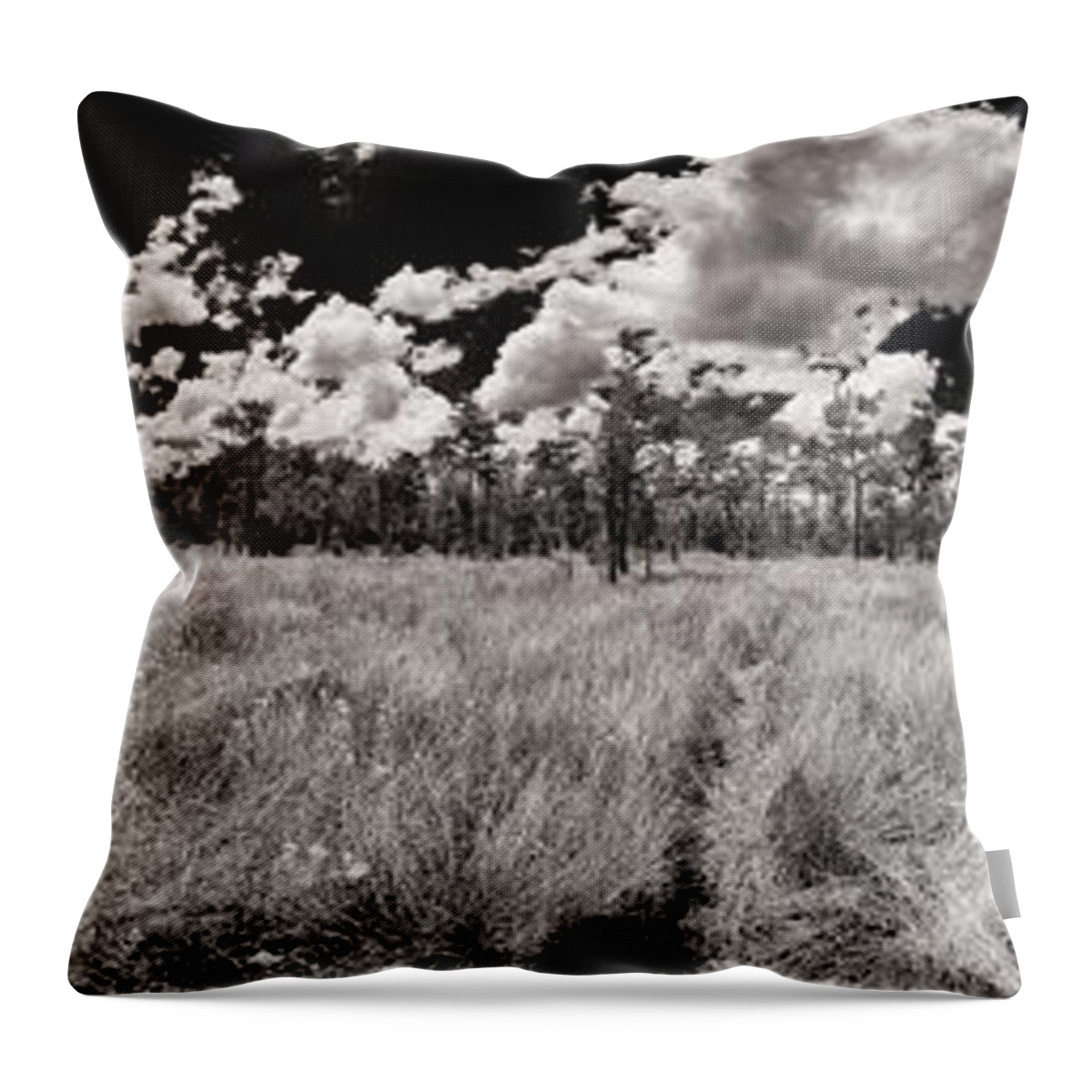 Everglades Throw Pillow featuring the photograph Florida Everglades by Raul Rodriguez