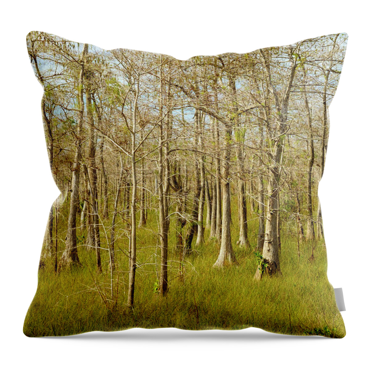 Big Cypress National Preserve Throw Pillow featuring the photograph Florida Everglades by Raul Rodriguez