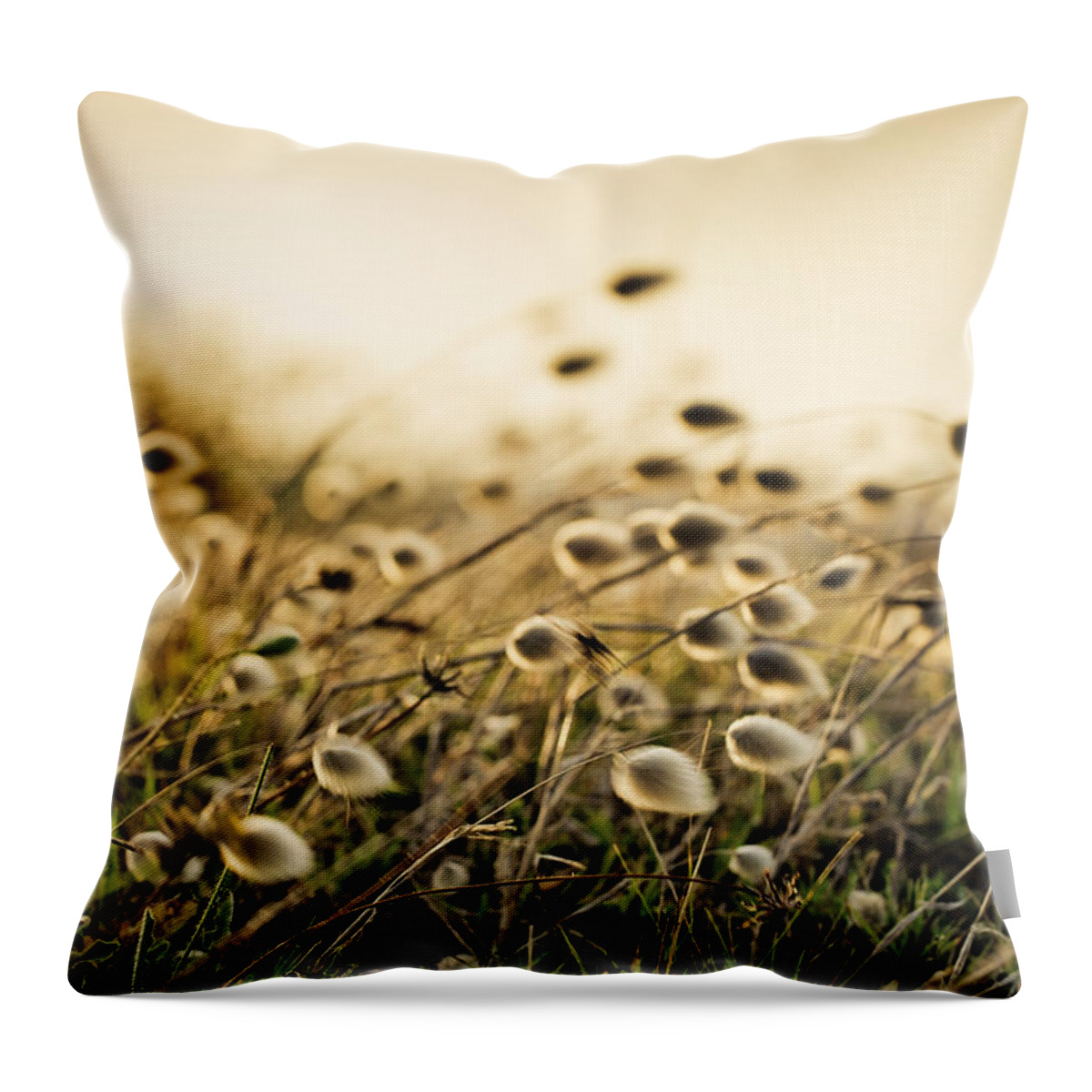 Reedgrass Throw Pillow featuring the photograph Evening by Nailia Schwarz
