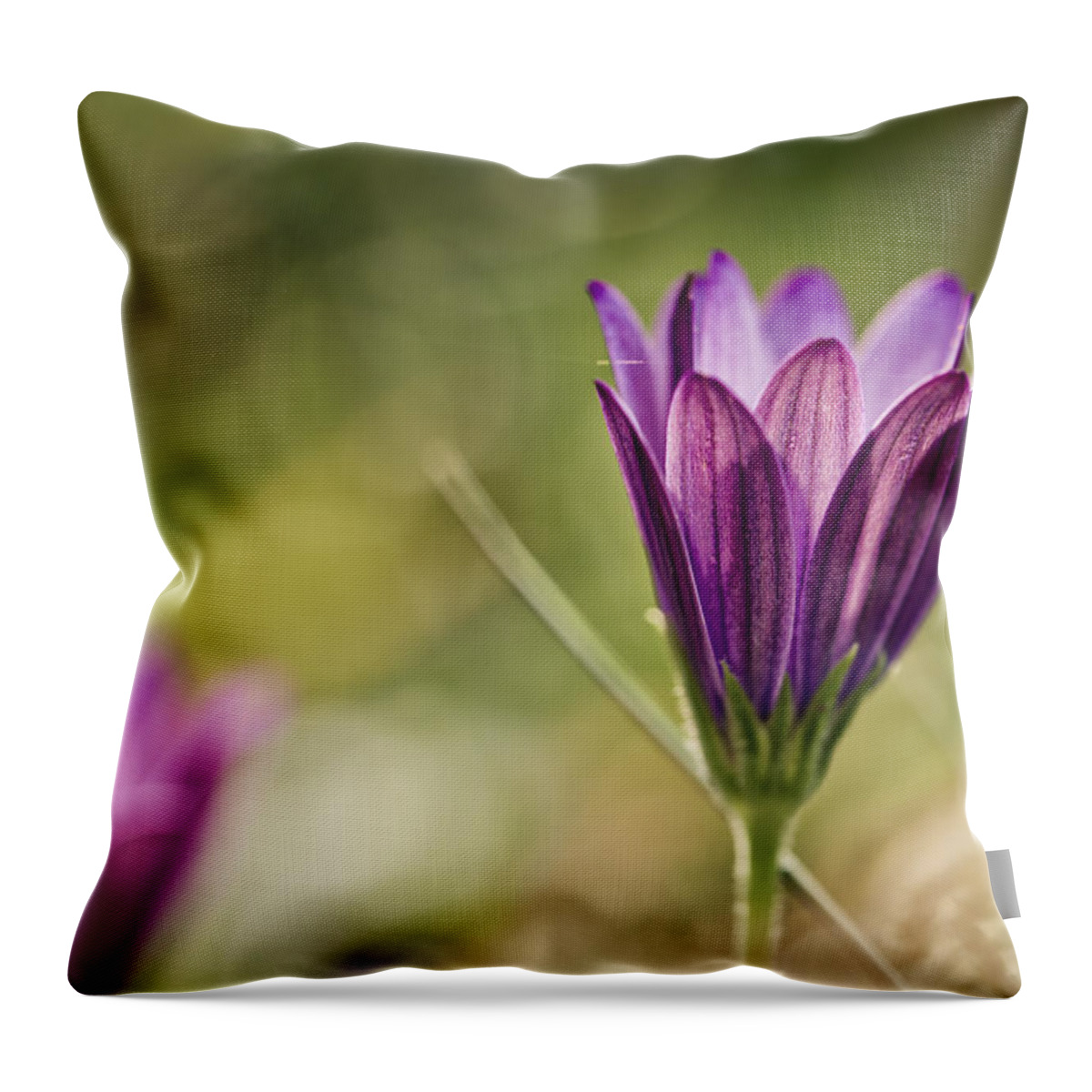 Flower Throw Pillow featuring the photograph Flower on Summer Meadow by Nailia Schwarz