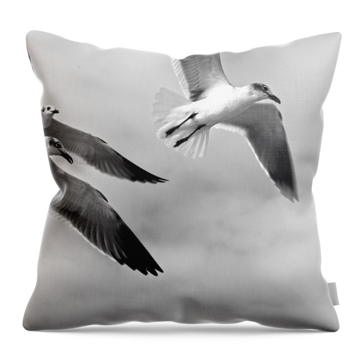 Bird Throw Pillow featuring the photograph 3 Gulls by Robert Och