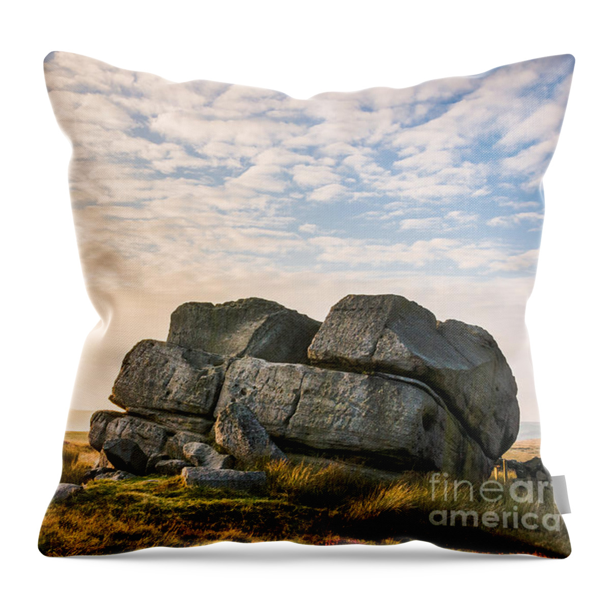 Airedale Throw Pillow featuring the photograph Hitching Stone #3 by Mariusz Talarek
