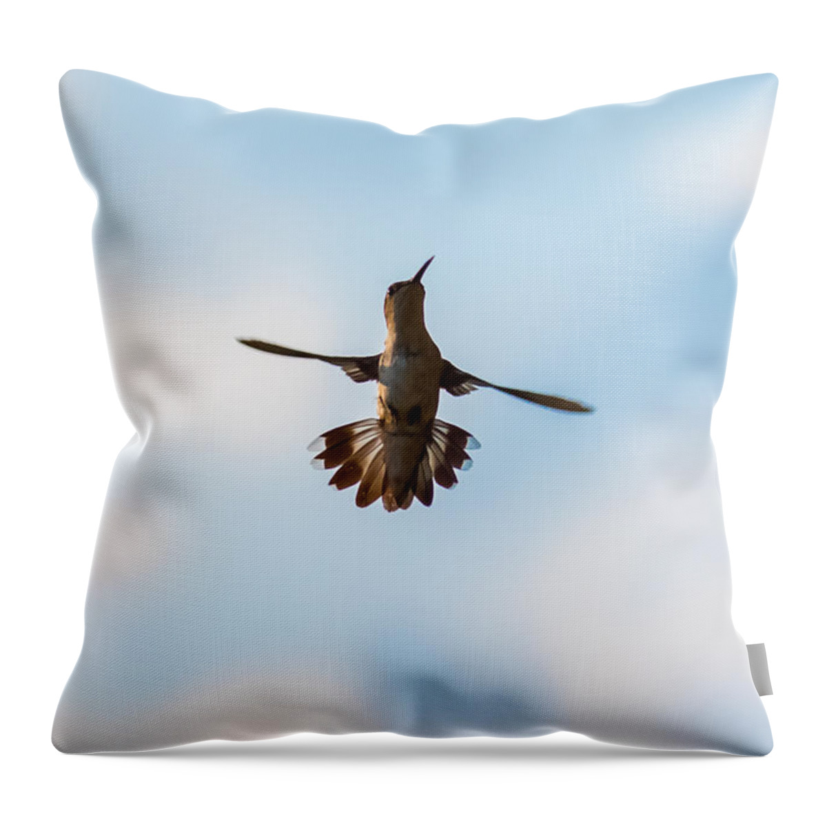 Hummingbird Throw Pillow featuring the photograph Hummingbird by Holden The Moment