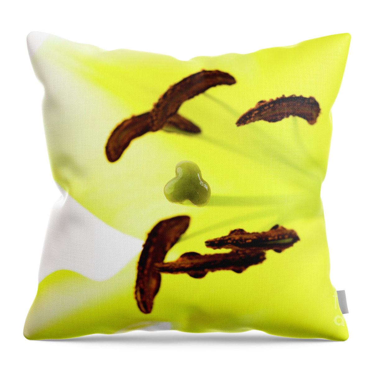 Abstract Throw Pillow featuring the photograph Oriental Lily Flower by Raul Rodriguez