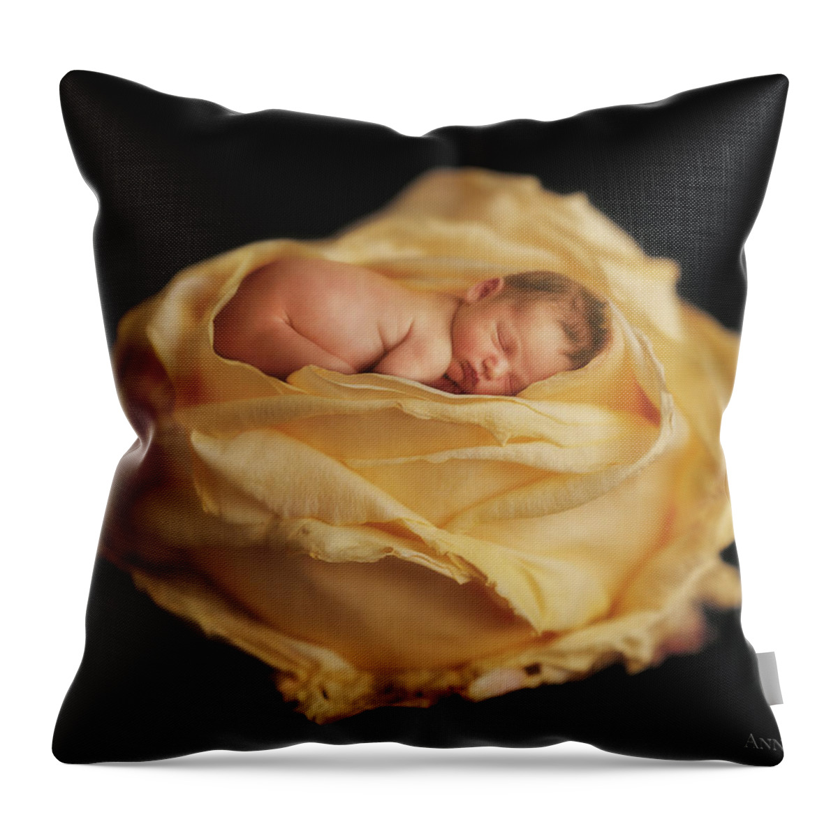 Rose Throw Pillow featuring the photograph Garden Rose by Anne Geddes