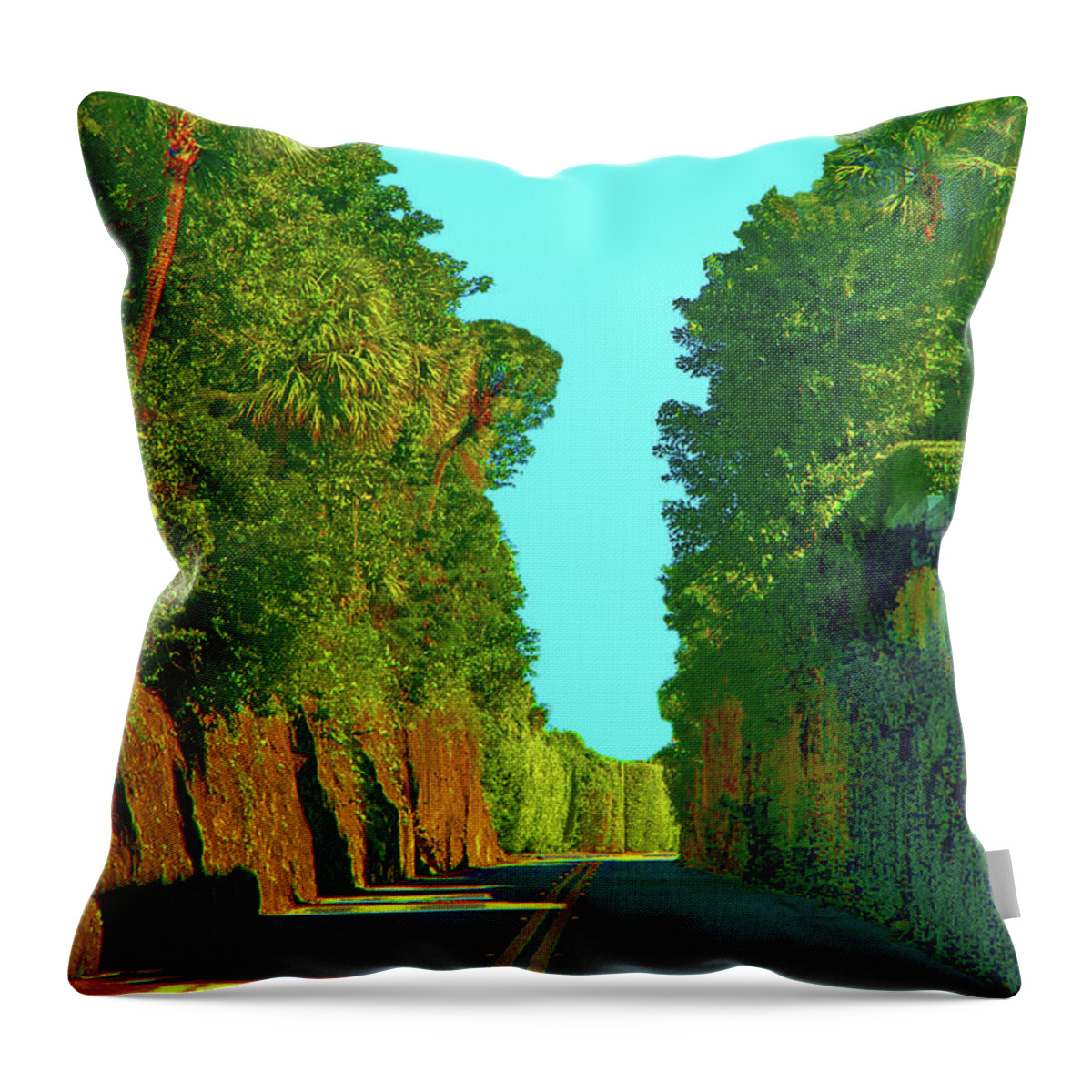 Paintings Throw Pillow featuring the digital art 34- Enchanted Highway by Joseph Keane