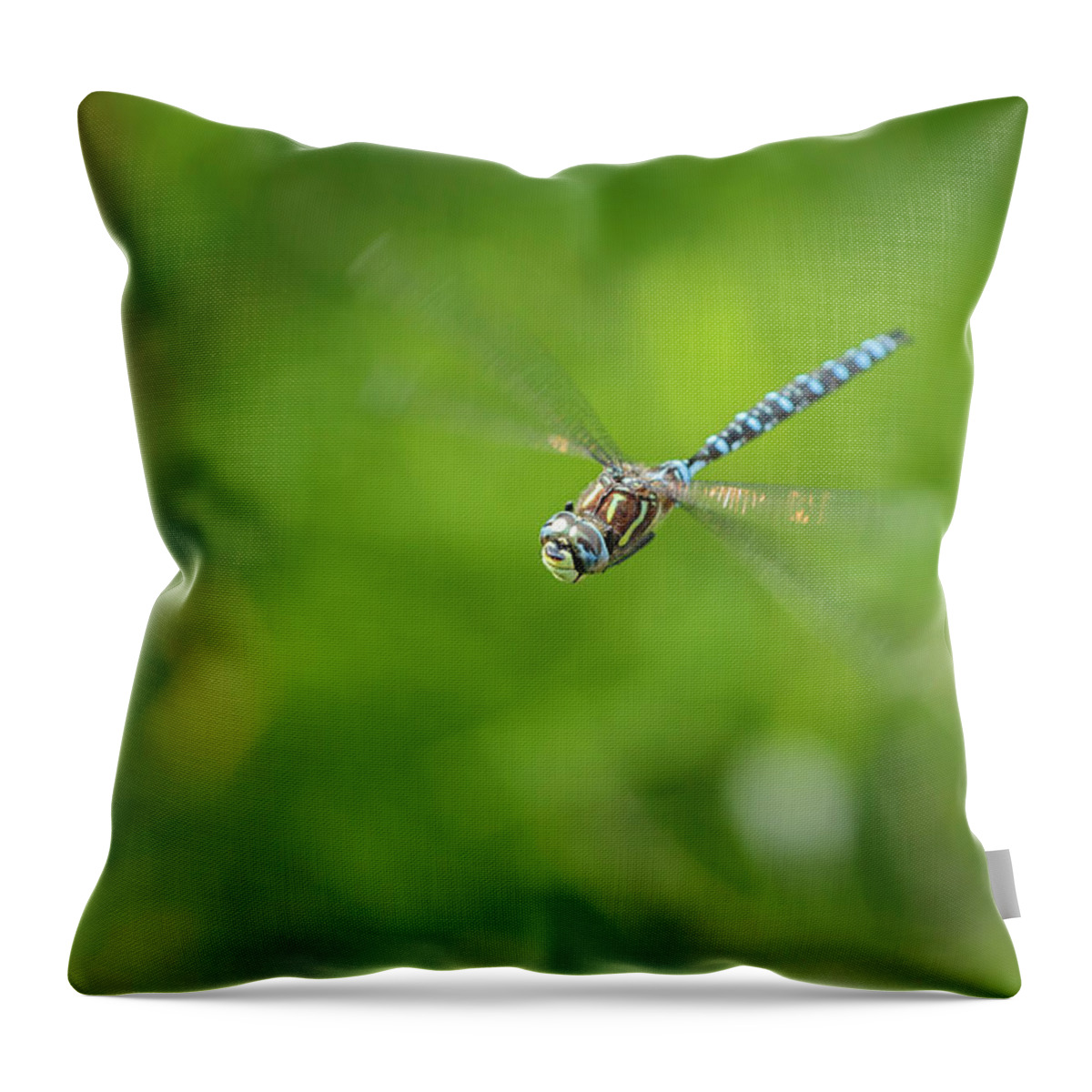 Dragonfly Throw Pillow featuring the photograph Emperor Dragonfly by Rick Deacon