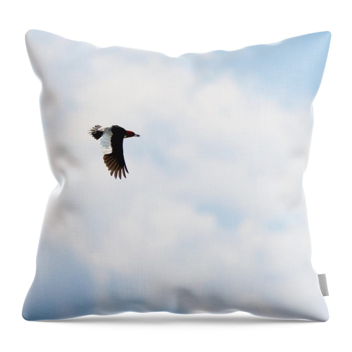 Red-headed Woodpecker Throw Pillow featuring the photograph Red-Headed Woodpecker by Holden The Moment