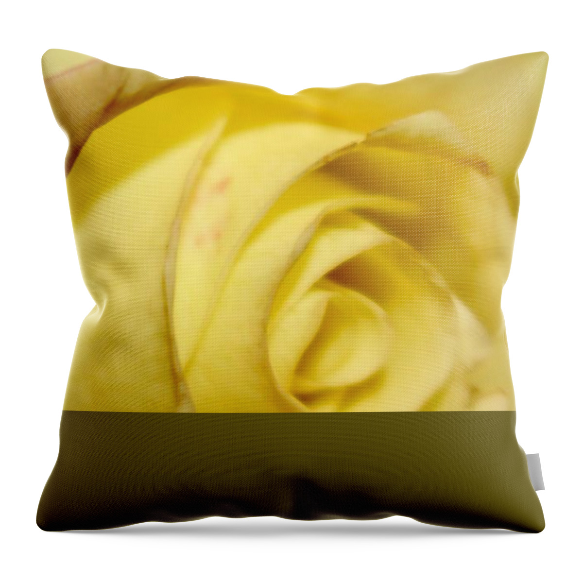 Yellow Rose Throw Pillow featuring the photograph Rose by Deena Withycombe