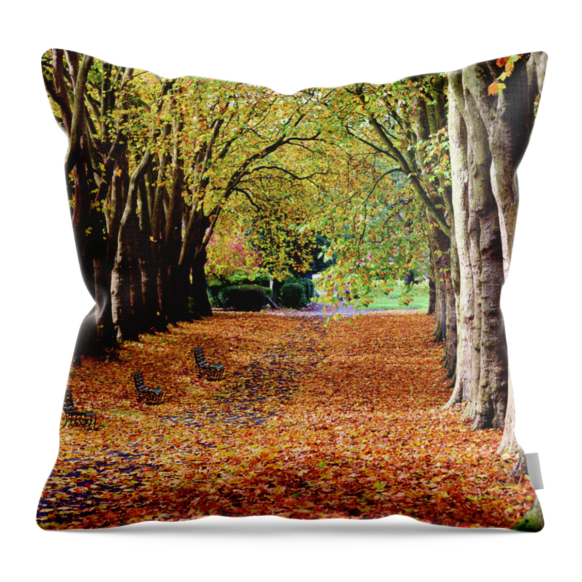 Autumn Throw Pillow featuring the photograph Autumn in the park by Colin Rayner