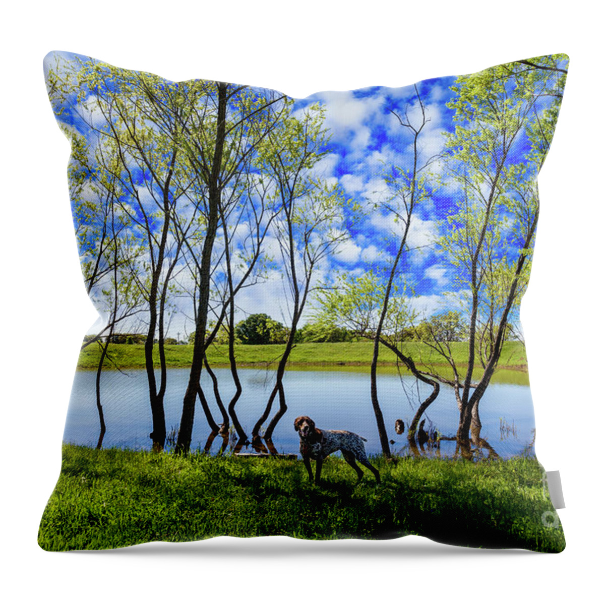 Austin Throw Pillow featuring the photograph Texas Hill Country by Raul Rodriguez