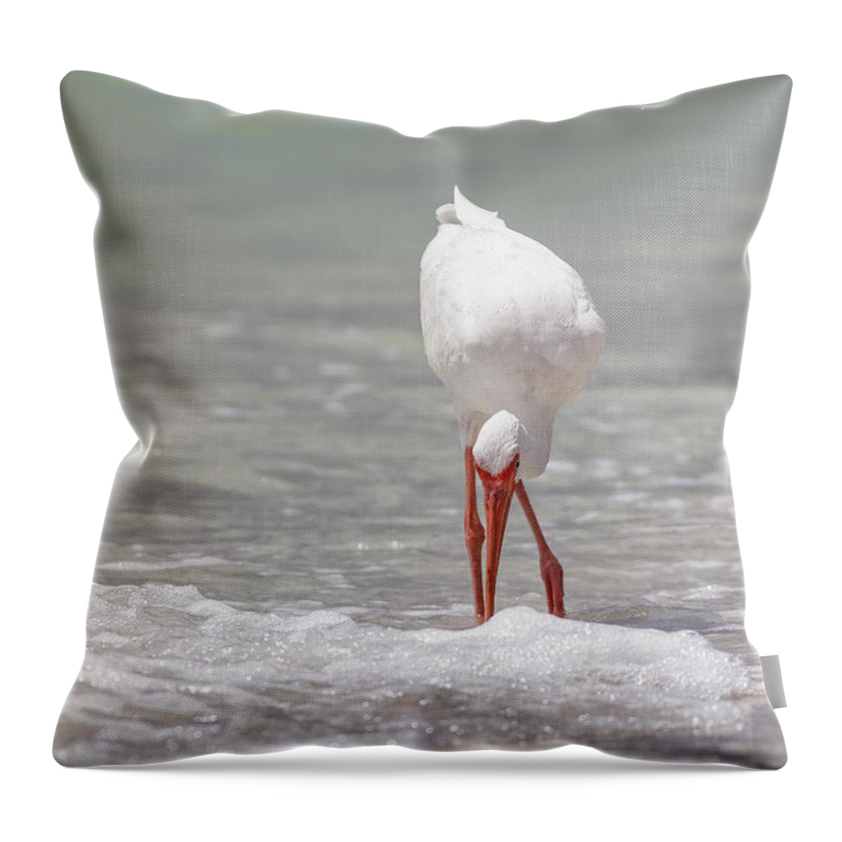 Naples Throw Pillow featuring the photograph White Ibis by Peter Lakomy