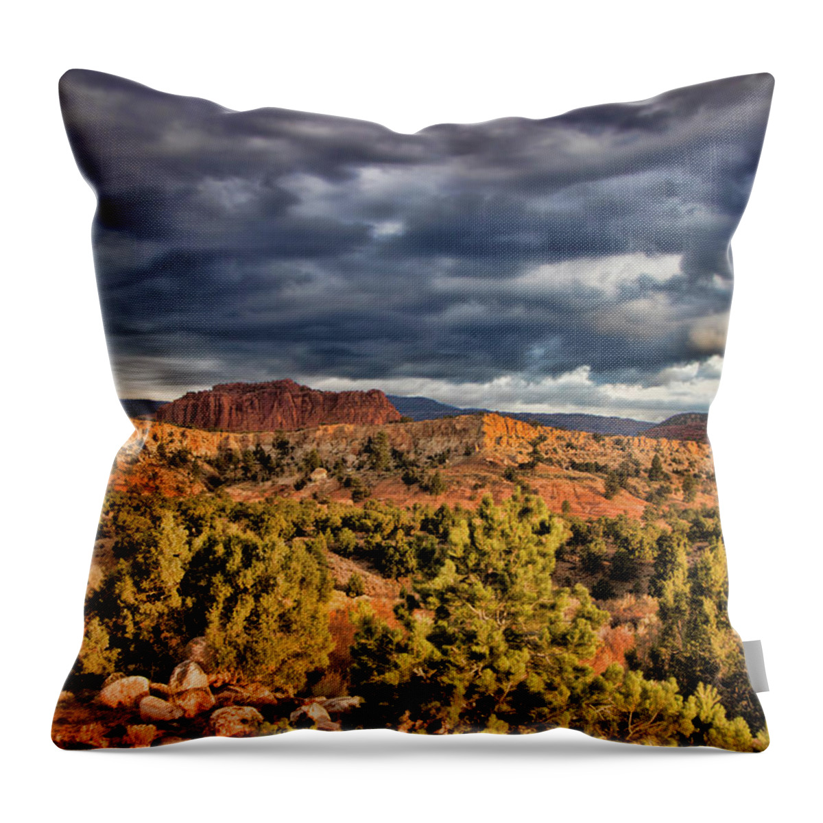Capitol Reef National Park Throw Pillow featuring the photograph Capitol Reef National Park by Mark Smith