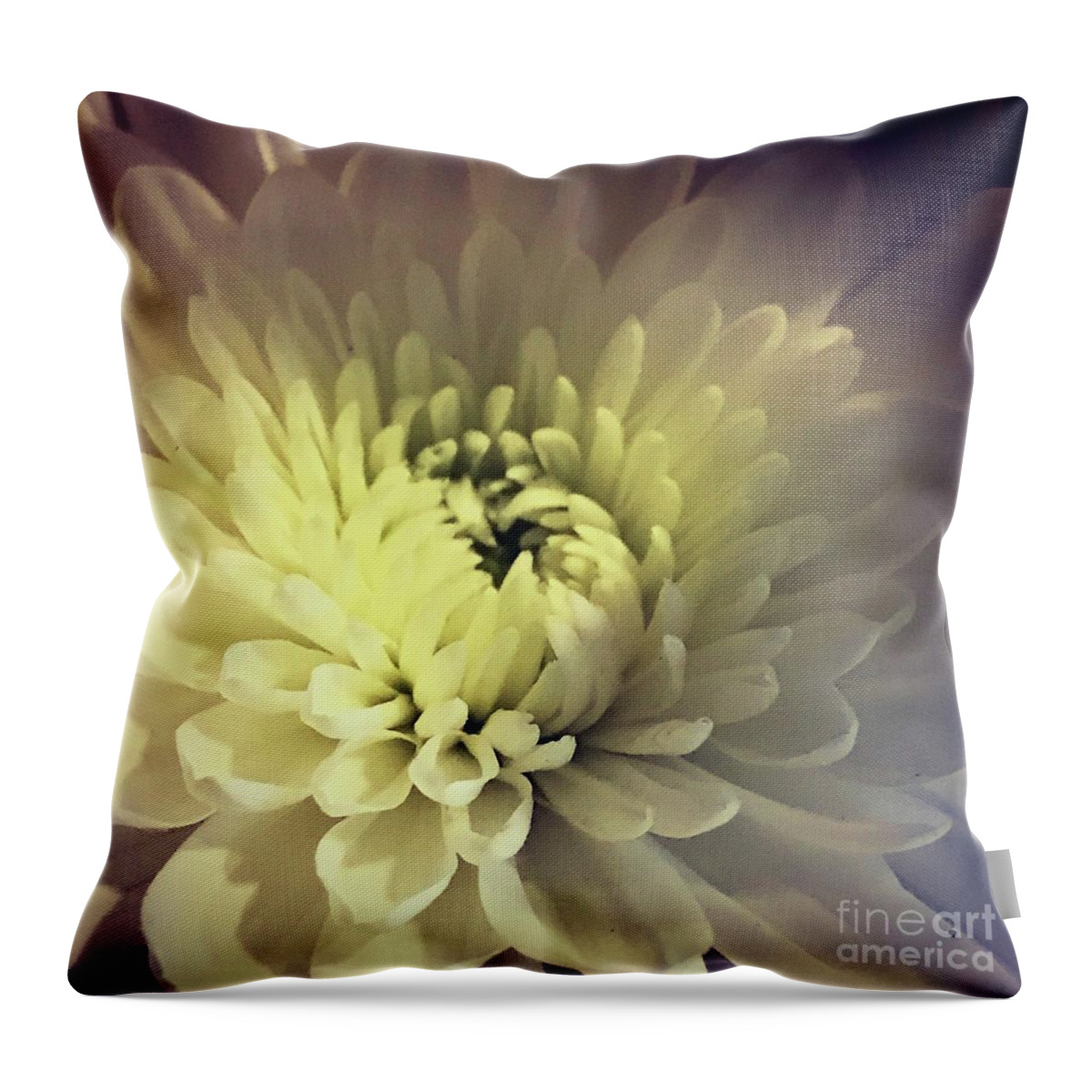 White Throw Pillow featuring the photograph Flower by Deena Withycombe
