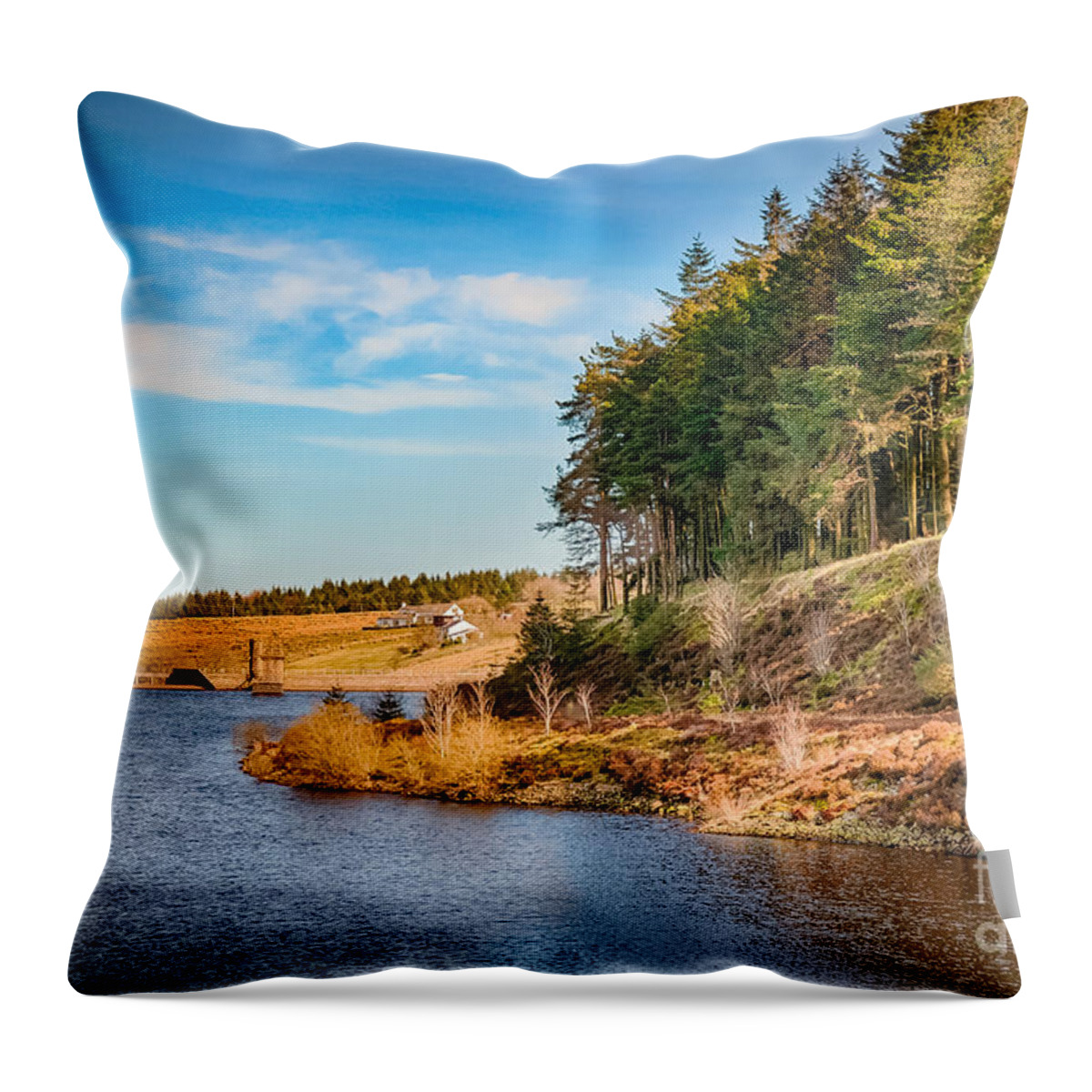 D90 Throw Pillow featuring the photograph Pendle Hill Walk, North Yorkshire, UK by Mariusz Talarek