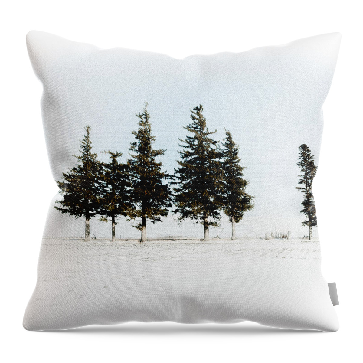 Pine Throw Pillow featuring the photograph 6 Trees by Troy Stapek