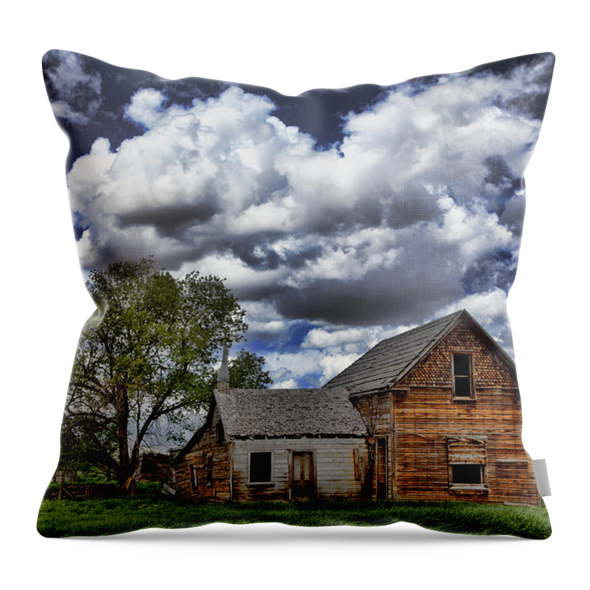 Americana Throw Pillow featuring the photograph Americana by Mark Smith