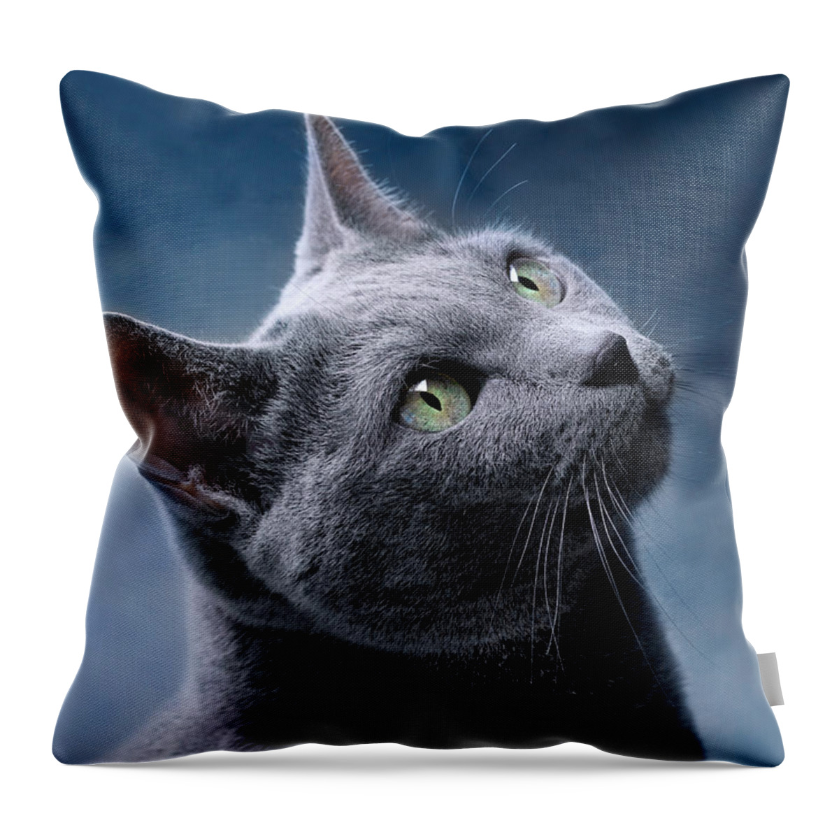 Russian Throw Pillow featuring the photograph Russian Blue Cat by Nailia Schwarz