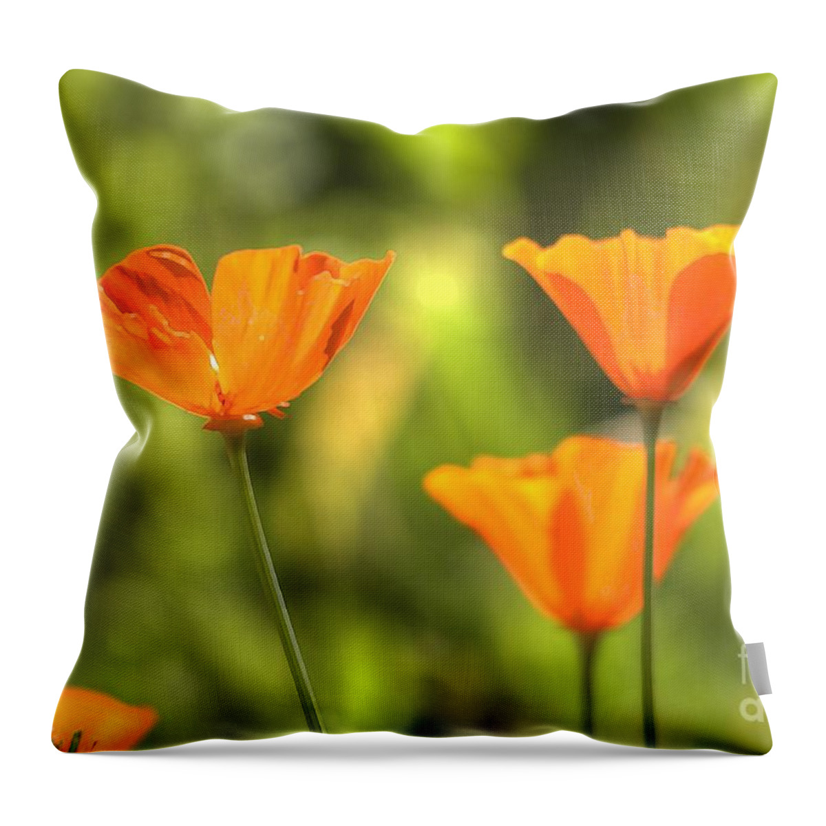 Poppies Throw Pillow featuring the photograph Poppies by Marc Bittan