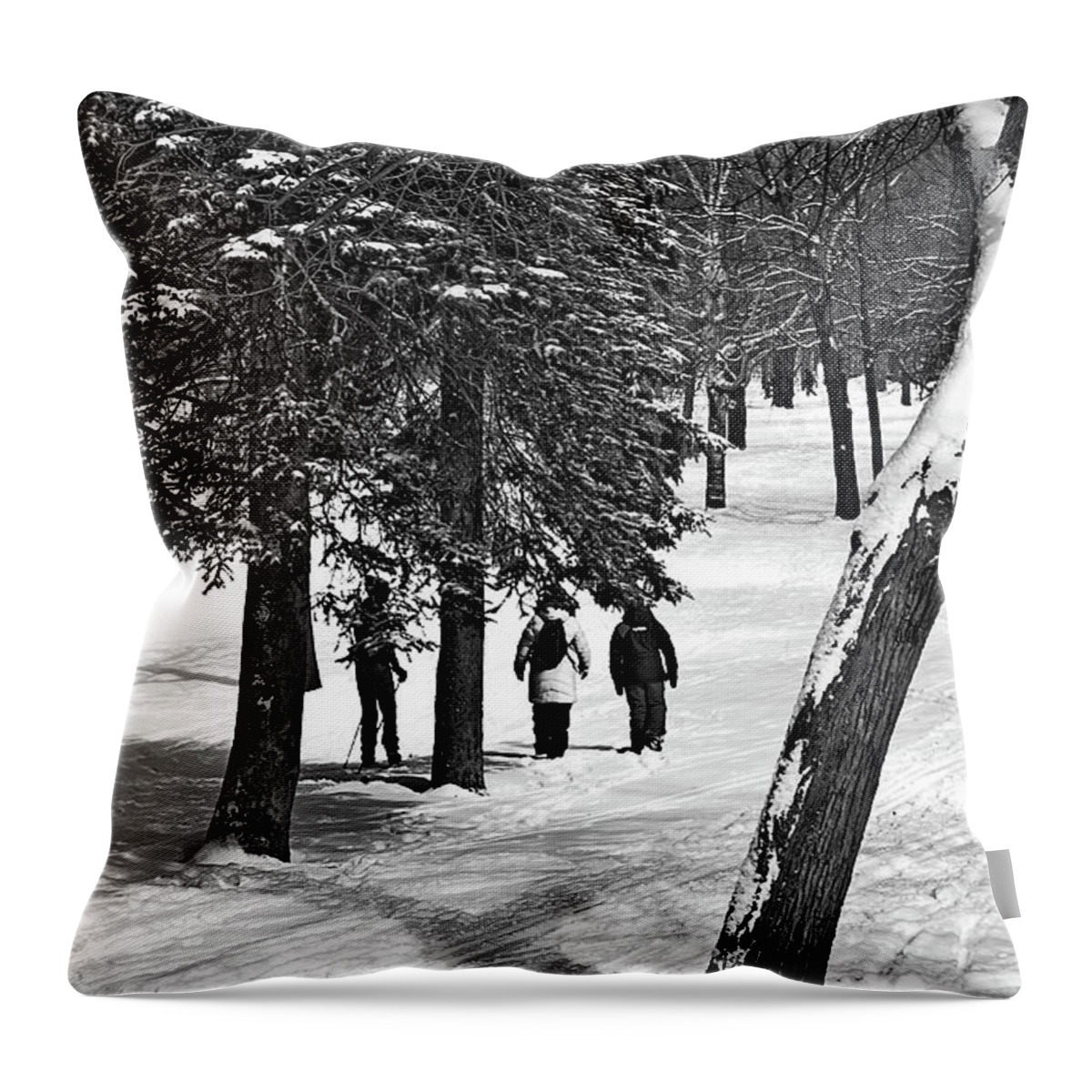  Throw Pillow featuring the photograph 9974 by Burney Lieberman