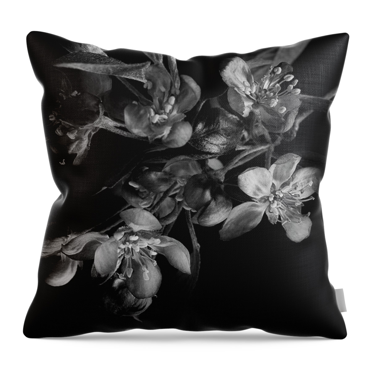 Flower Throw Pillow featuring the photograph A Black And White Spring by Mike Eingle