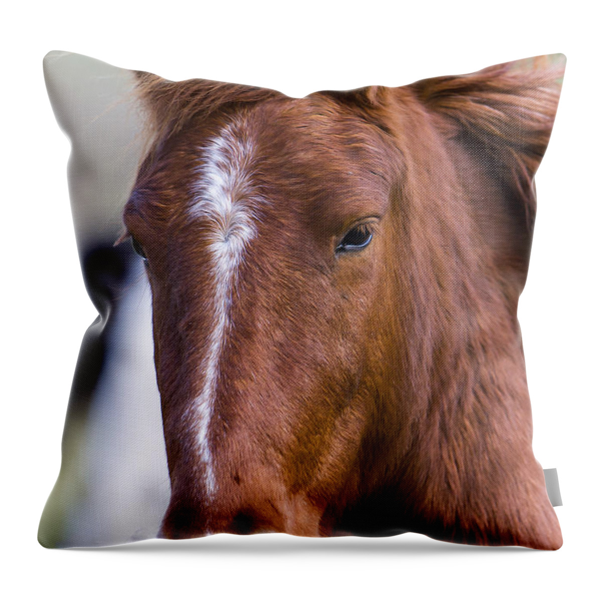 Chestnut Horse Throw Pillow featuring the photograph A Chestnut Horse portrait by Andy Myatt