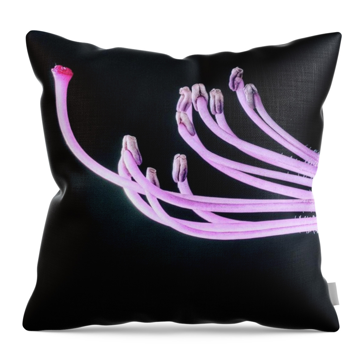Beautiful Throw Pillow featuring the photograph A Close Up Of The Reproductive Parts Of by John Edwards