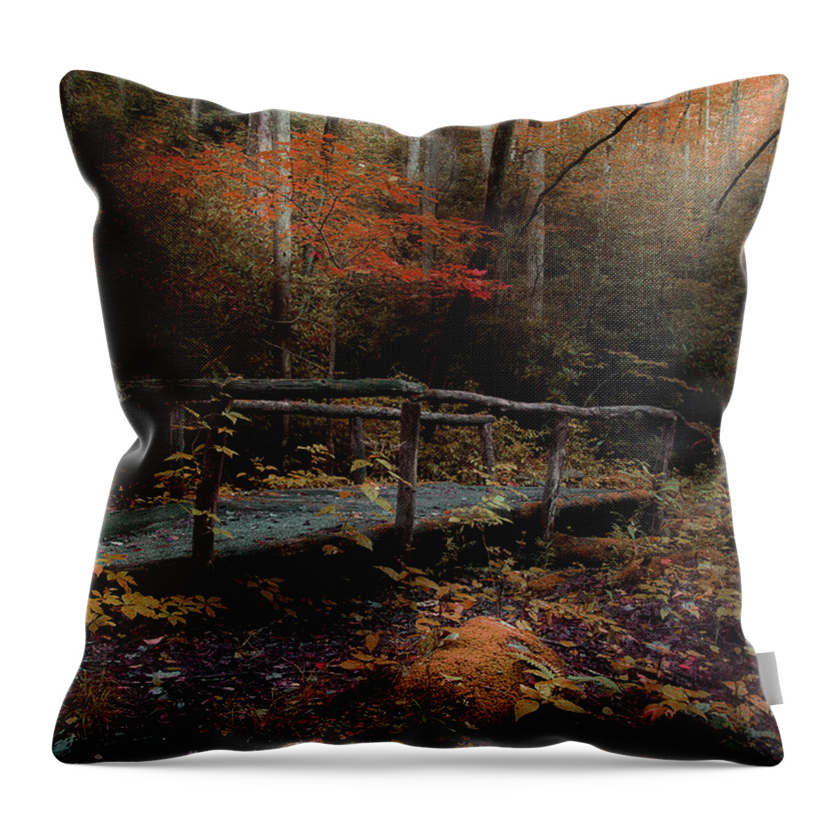 Nature Trail Bridge Throw Pillow featuring the photograph A Day Hiking by Mike Eingle