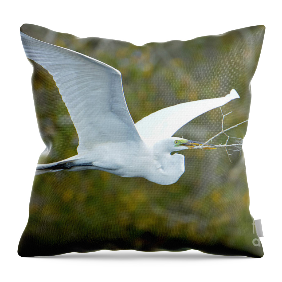 Great Throw Pillow featuring the photograph A Days Work by Quinn Sedam