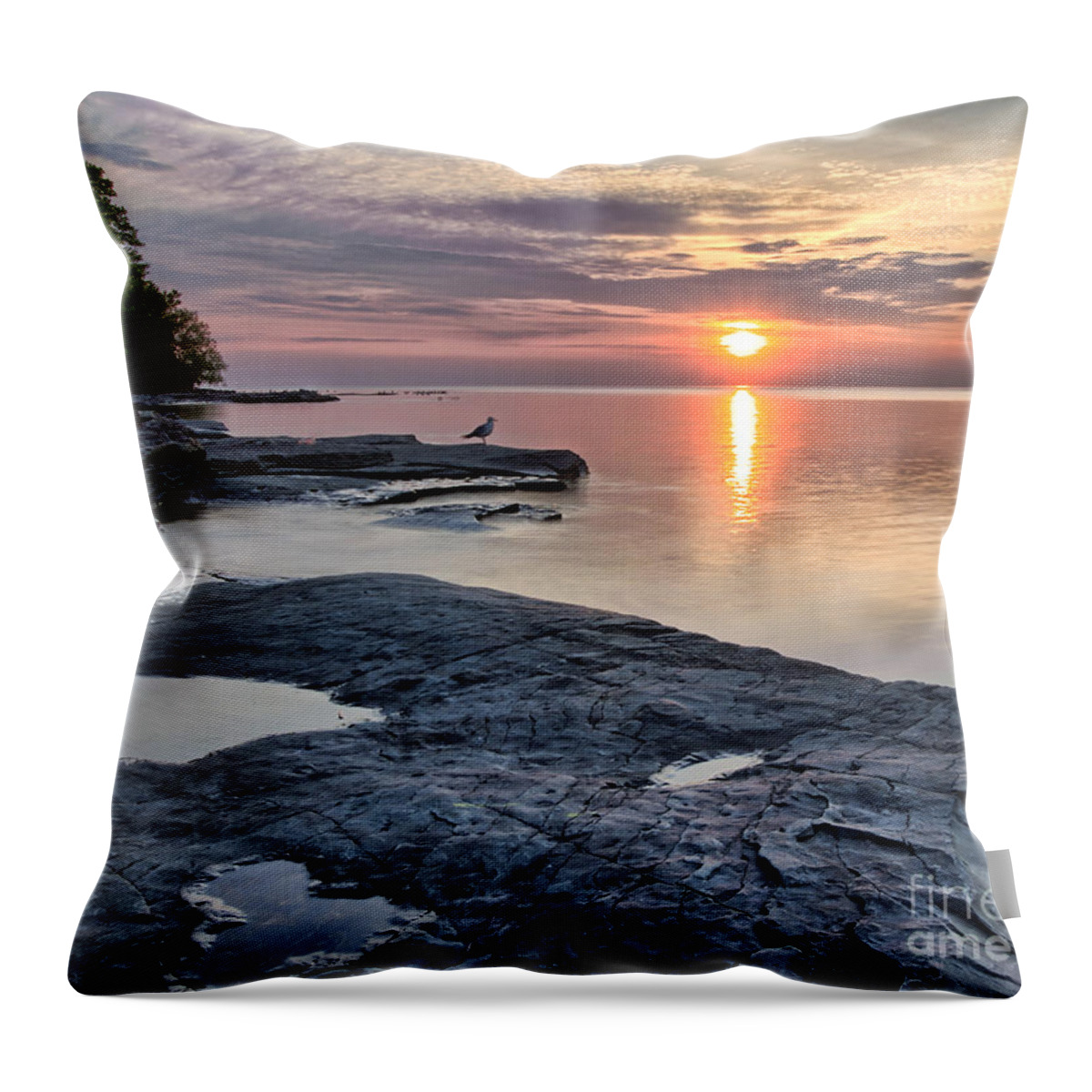 Flat Rock Throw Pillow featuring the photograph A Flat Rock Sunset with Seagull by Rod Best